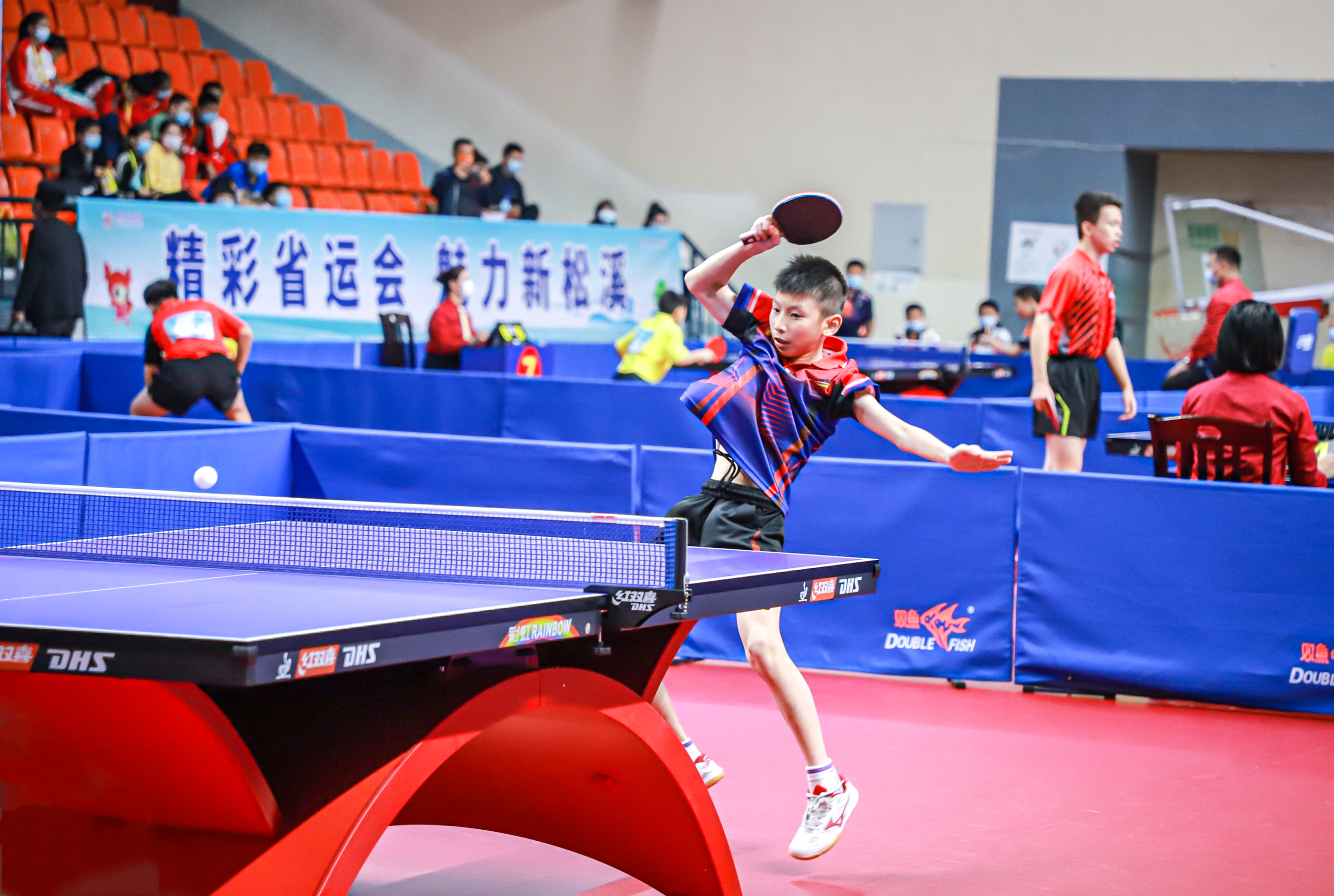 手术后的恢 手术后的恢